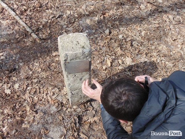 В лісі на Волині знайшли рештки зубра. ФОТО