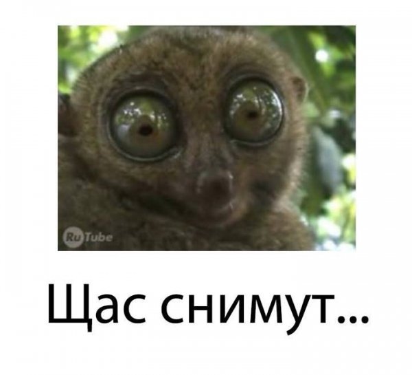 «Зніміть мене в Нацгвардію!»: українці «стібуться» з допису російської журналістки. ФОТО  