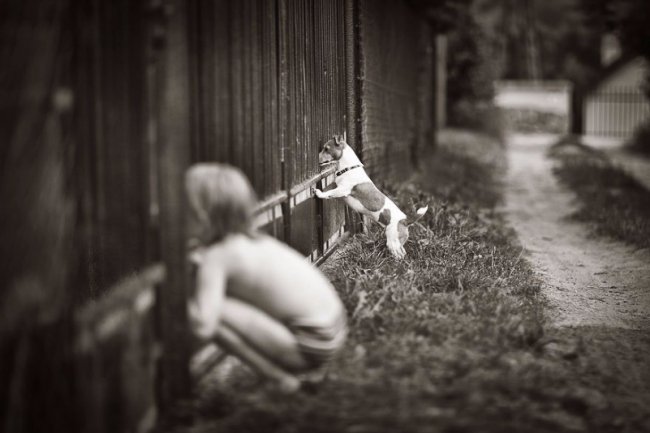 Дитяче літо без ґаджетів та Інтернету у світлинах польського фотографа