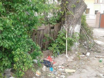 У Луцьку муніципали продовжують зносити паркани у дворах. ФОТО