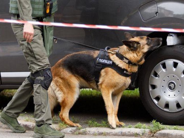 На Волині – масові повідомлення про замінування. ВІДЕО