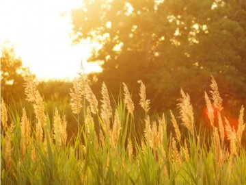 Погода в Луцьку на понеділок, 16 вересня