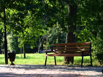 Ковельчани просять зберегти міський парк