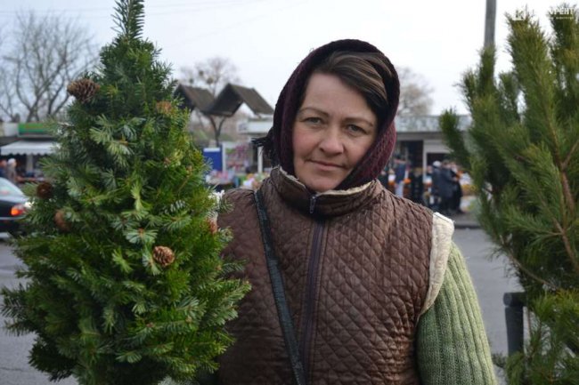 Скільки коштують живі ялинки та сосни на Старому ринку