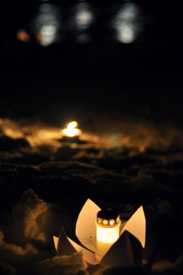 Фотовиставка Лідії Кожевнікової 