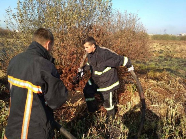 На гасіння масштабної пожежі на торфовищі залучили спецтехніку з Луцька