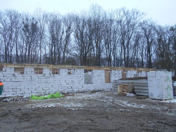 Директор луцької «Ласки» показала, як розбудовується притулок