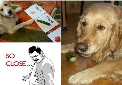 Інтернет жартує про виліт Росії з Євро 