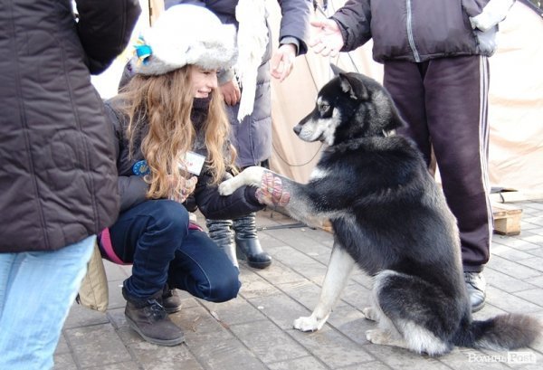 У Луцьку вчили, як оборонятися від «Беркута» і «тітушків». ФОТО. ВІДЕО