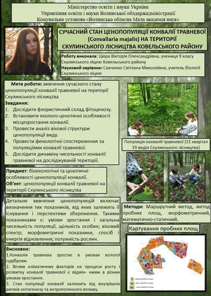 Школярка з Волині стала фіналісткою нацвідбору світової Олімпіади Геніїв