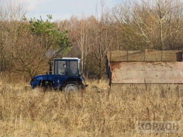 На Волині невідомі викидають відходи деревини