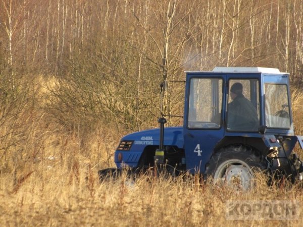 На Волині невідомі викидають відходи деревини