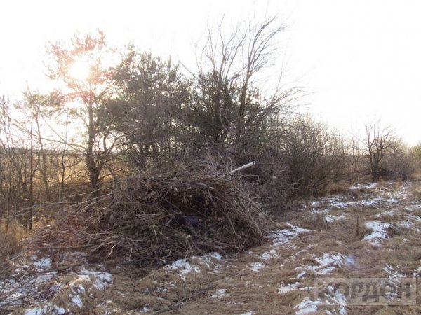 На Волині невідомі викидають відходи деревини