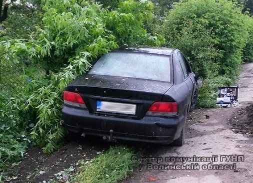 Смертельна аварія на Волині: військовому, який залишив жертву серед дороги, дали «умовне»