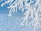 Завтра, 17 лютого, у західних областях України знову очікують сніг
