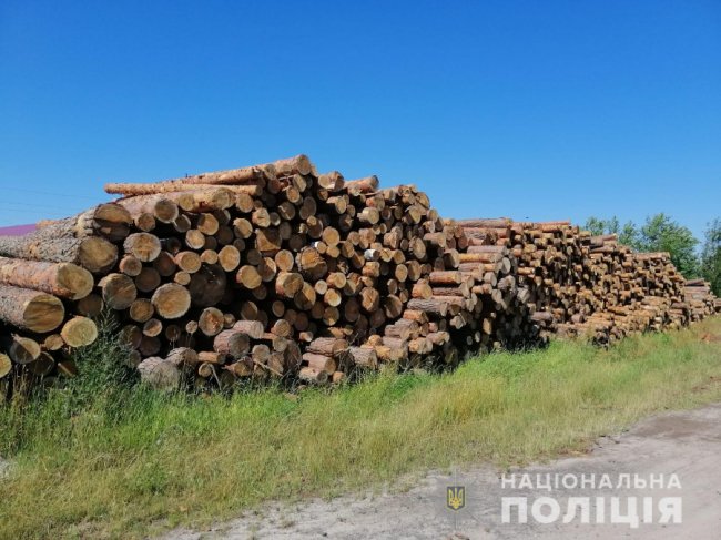 На Камінь-Каширщині – масштабні обшуки: вилучили сотні кубів незаконної деревини. ФОТО