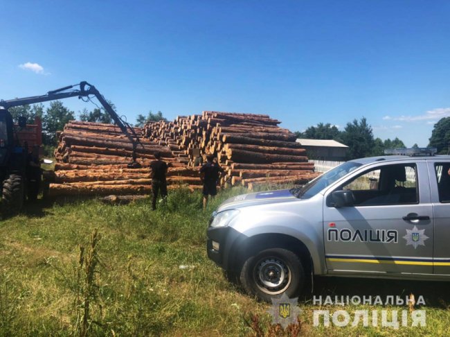 На Камінь-Каширщині – масштабні обшуки: вилучили сотні кубів незаконної деревини. ФОТО