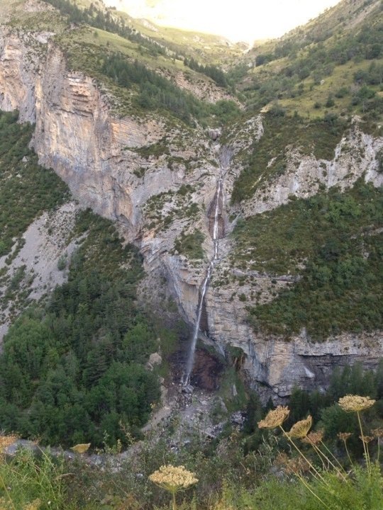 Волинянин у Франції здолав на велосипеді 1000 км менше як за три доби 