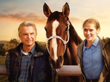 Куди піти на вихідні у Луцьку: 8 – 10 листопада