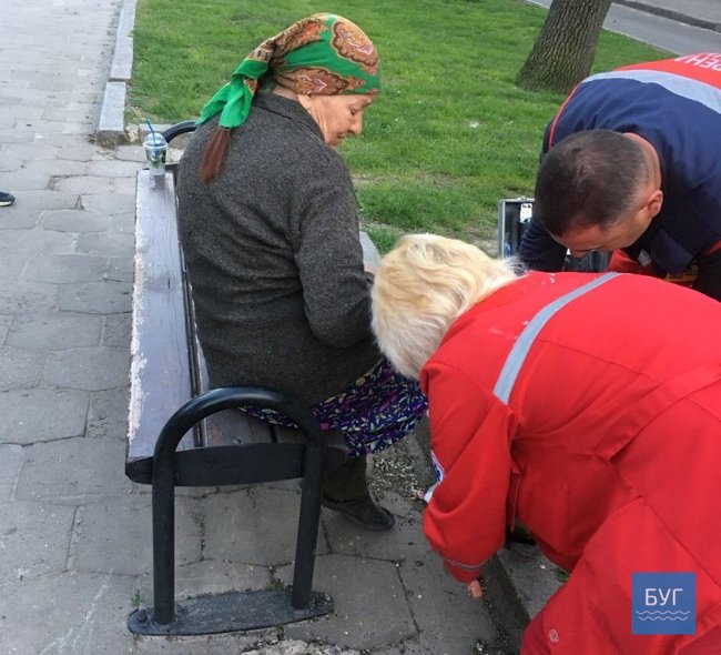 У Нововолинську пес покусав літню жінку. ФОТО