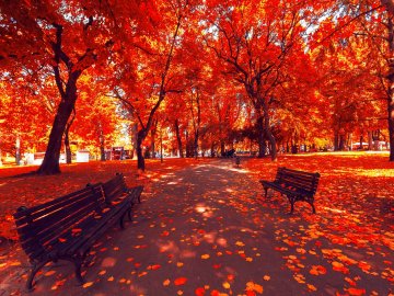 Погода в Луцьку та Волинській області на п’ятницю, 16 жовтня