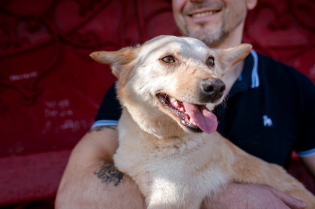 Олег Колесниченко - організатор концертів для зірок із собачкою  Еллі