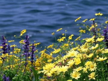 Синоптики розповіли, якою буде погода у червні