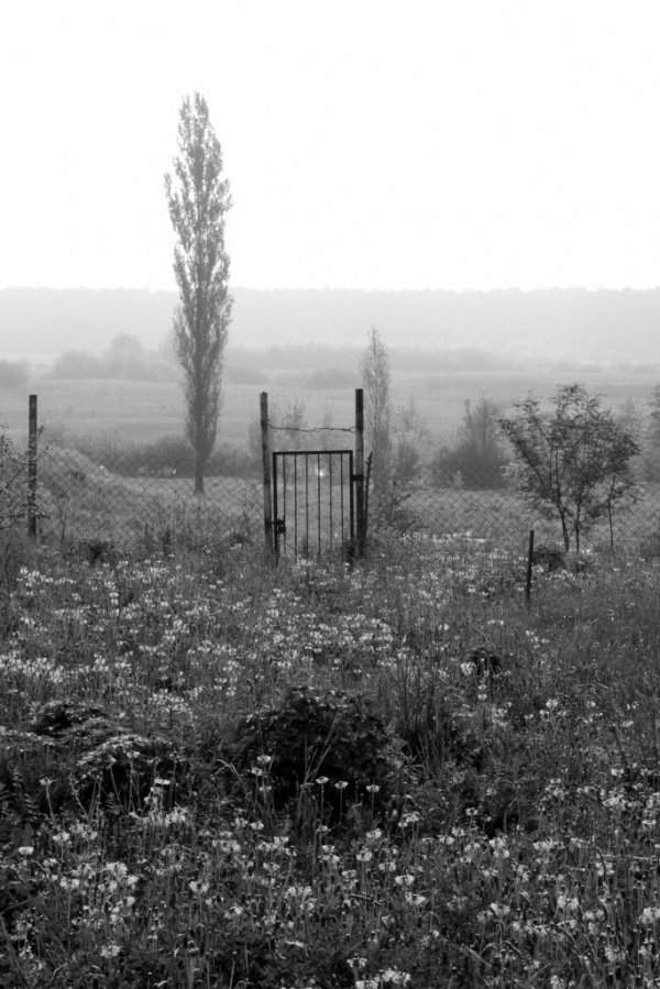 Фотовиставка Анни Лучії Лобос