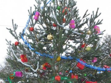 Під Луцьком засвітили головну ялинку району. ФОТО