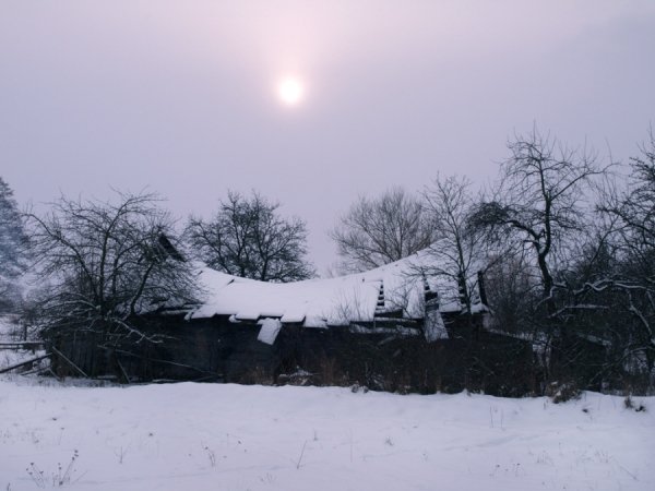 Фотовиставка Тетяни Полуектової