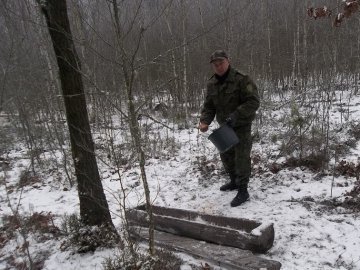 На Волині в лісгоспі встановили відеокамери:  що цікавого дізнались 