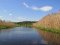Мальовнича ріка і хати під очеретом: неймовірні світлини волинських краєвидів