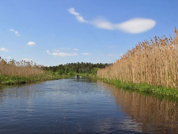Мальовнича ріка і хати під очеретом: неймовірні світлини волинських краєвидів