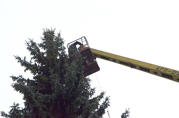 У Луцьку прикрасили ялинку біля міськради. ФОТО