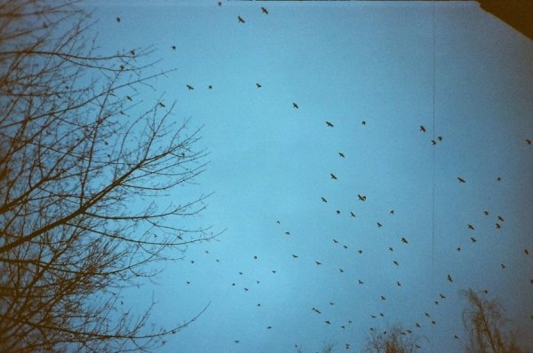 Фотовиставка Ігоря Семенюка