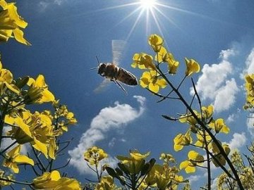 Погода в Луцьку та Волинській області на вихідні, 27 і 28 квітня