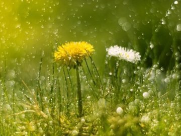 Погода в Луцьку та Волинській області на завтра, 15 травня