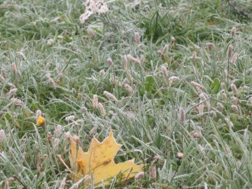 Погода в Луцьку та Волинській області на п'ятницю, 1 листопада