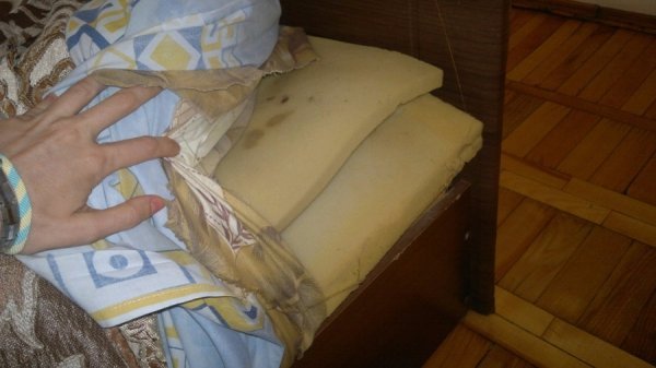 Дітей з мукачівського інтернату використовують як дармову робочу силу. ФОТО