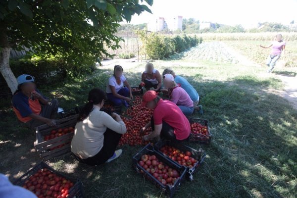 Дітей з мукачівського інтернату використовують як дармову робочу силу. ФОТО