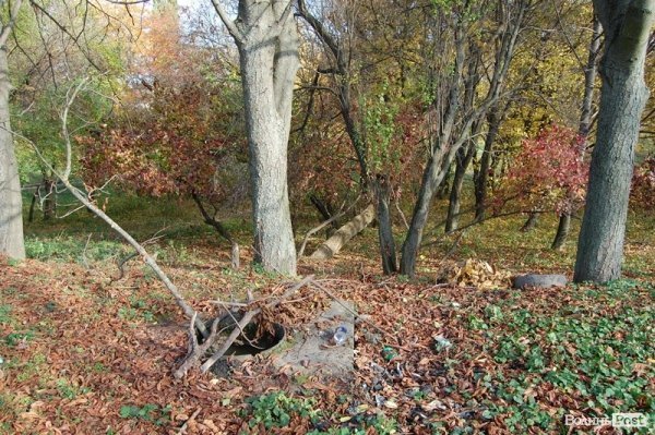 Парк у Луцьку: осіння краса і людська байдужість. ФОТО