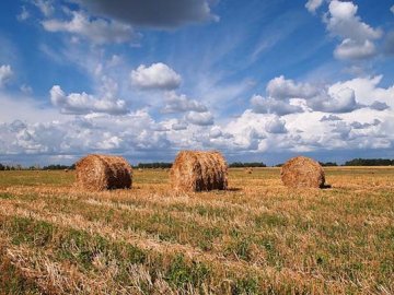 До кінця тижня в Україні буде зовсім неспекотна погода, – синоптик