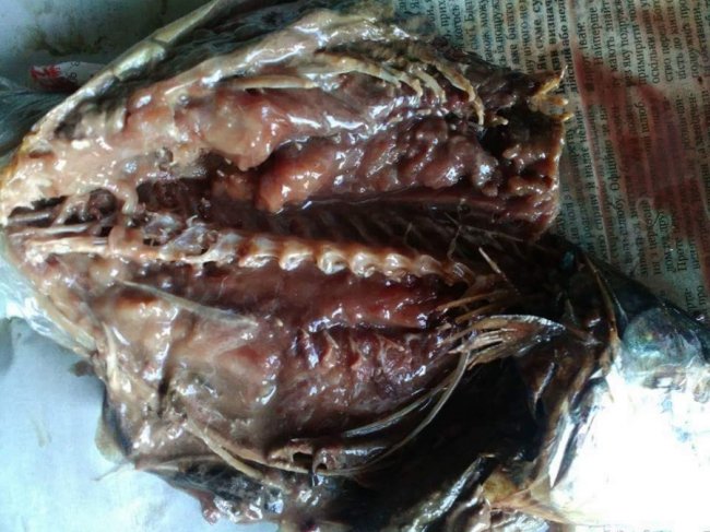 «Ледь квартиру вивітрила»: лучанка поскаржилася на гнилу рибу з супермаркету