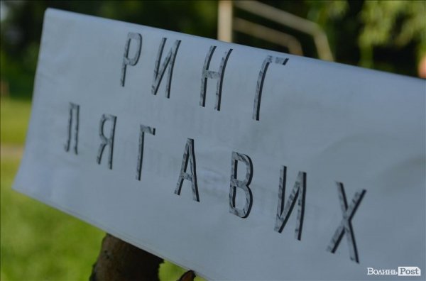 У Луцьку ‒ виставка мисливських собак. ФОТО 