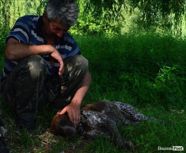 У Луцьку ‒ виставка мисливських собак. ФОТО 