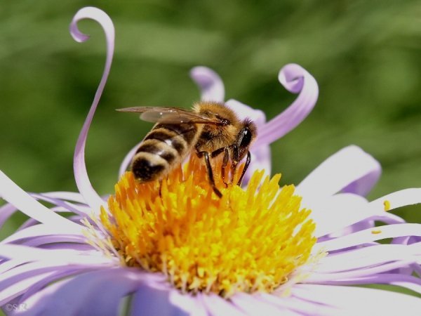 Фотовиставка Сергія Руденка