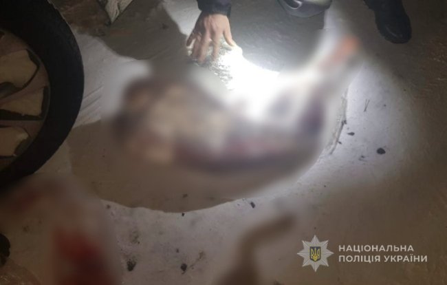 200 доларів - аби уникнути покарання: волинянин незаконно вполював зайця та козу