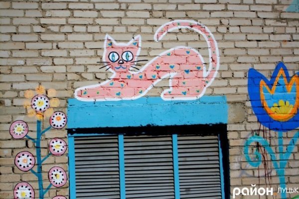 У Луцьку на стінах будинків оселилися кольорові коти. ФОТО
