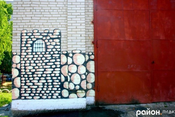 У Луцьку на стінах будинків оселилися кольорові коти. ФОТО