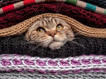 Погода в Луцьку та Волинській області на п’ятницю, 5 жовтня